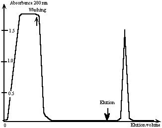 ABSORBANCE