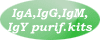 IgA, IgG, IgM, IgY Purification Kits