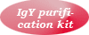 IgY Purification Kit